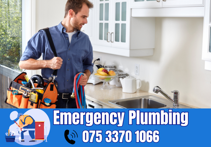  plumber Tovil